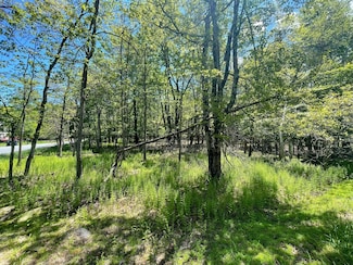 EV804 Stoney Mountain Road & Milton Way, Albrightsville, PA 18210