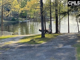 124a Lynch Ln, Chapin, SC 29036