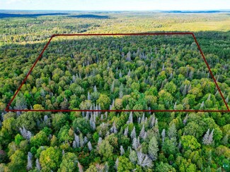 TBD Forest Road 406, Brimson, MN 55616