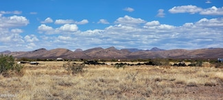 Lot 110 E Calle Entrada Unit 110, Douglas, AZ 85607