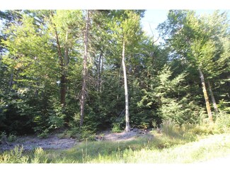 0 Willis Cemetery Rd Unit 4510941, Stratton, VT 05360