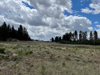0 Petersteiner Rd Unit lot 300 220124905, Bonanza, OR 97623