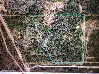 0 Cotton Patch Rd, Chocowinity, NC 27817