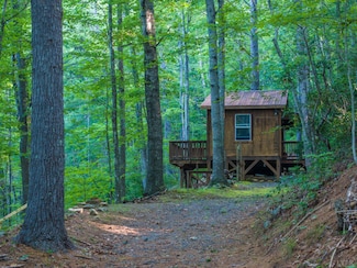 7750 Lexington Turnpike, Vesuvius, VA 24483