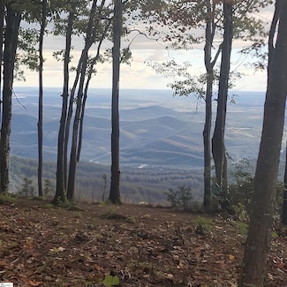 00 MacKerel Mountain Rd, Zirconia, NC 28790