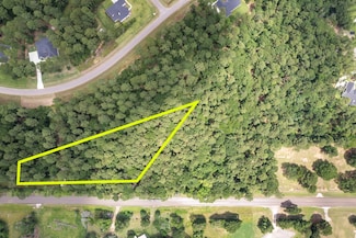 14762 Farm To Market 1774, Plantersville, TX 77363