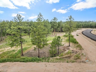 14670 Allen Ranch Rd, Black Forest, CO 80908