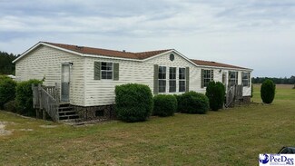 1217 Cartersville Hwy, Lamar, SC 29069