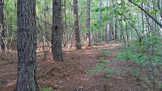 Lot 21 Timber Valley Trail (Pca), Rockwood, TN 37854