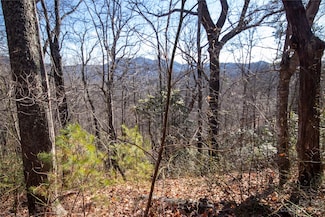 Lot# 502 Fire Crest Ln Unit 502, Lenoir, NC 28645