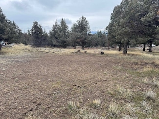 Unit 1 Lot 96 Harborview Dr Unit 1, Weed, CA 96094