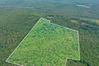 231 Mutton Rd, Webster, NH 03303