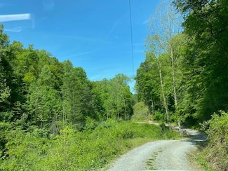 0 Alley Fork, Prestonsburg, KY 41216