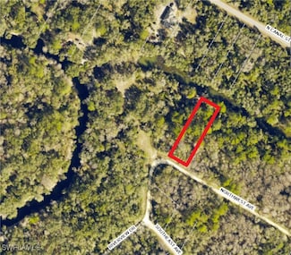 7466 Northwest Ave, Webster, FL 33597
