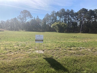 38518 Wooded Meadow Dr, Umatilla, FL 32784