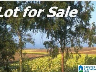 00 Highway 11, Indian Springs Village, AL 35124