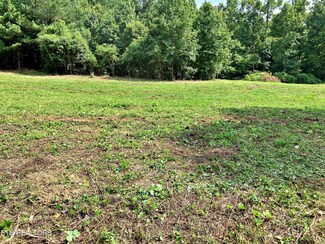 Lot 4 Oak Grove Rd, Decatur, TN 37322