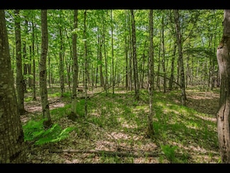 Lot 23 Bonita Point, Three Lakes, WI 54521