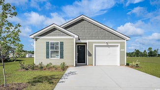 560 Strawberry Field Way, Galivants Ferry, SC 29544