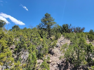 0 Sunset Dr Unit 256441, Eagar, AZ 85925