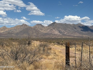 80 ac W Gleeson Rd, Elfrida, AZ 85610