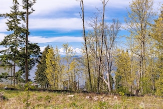 0 Charel Dr Unit NWM2373118, Blaine, WA 98230