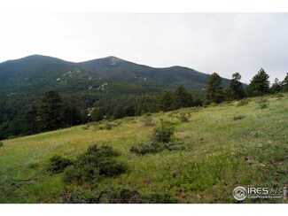 15001 Peak To Peak, Allenspark, CO 80510