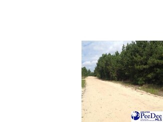 TBD Thompson Rd, Nichols, SC 29581