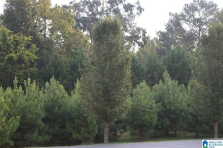 251 Parkview Dr Unit 34, Sylvan Springs, AL 35118