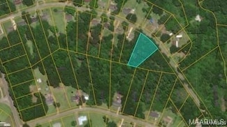 0 County Road 232 Unit 576262, Valley Grande, AL 36701
