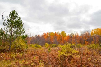 0 E Robinson Rd Unit 463580, Pellston, MI 49769