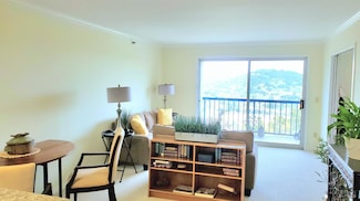 100 Thorndale Dr Unit 360, San Rafael, CA 94903