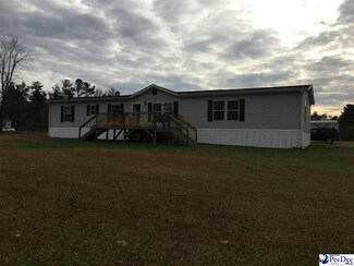 6021 Barino Ln, Effingham, SC 29541