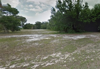 9515 E Baymeadows Dr, Inverness, FL 34450
