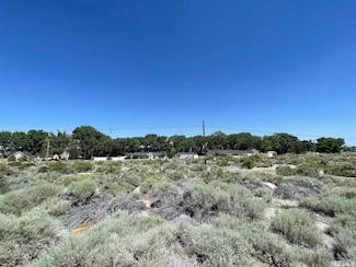 0 Nevada 339, Yerington, NV 89447