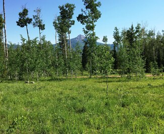 59123 Button Willow Dr, Clark, CO 80428