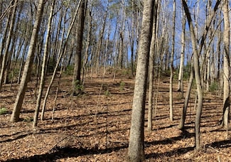 0 Walhalla Ct Unit 7611949, Ellijay, GA 30540