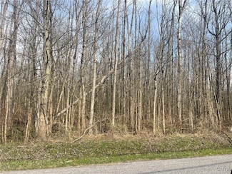 0 Lewis Point Rd Unit S1602042, Lenox, NY 13032