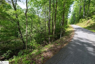 0 N Saluda Dr, Slater-Marietta, SC 29661