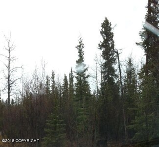 L19-20 B5 Kenny Lake Village, Chitina, AK 99566