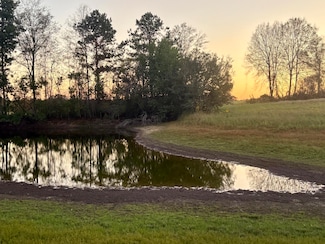 0 Dexter Rd, Tylertown, MS 39667