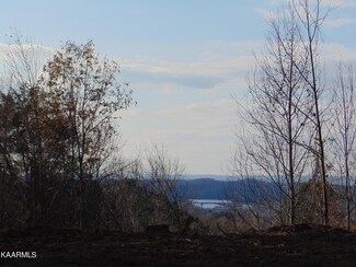 7.38 acres Lamontville Rd, Decatur, TN 37322