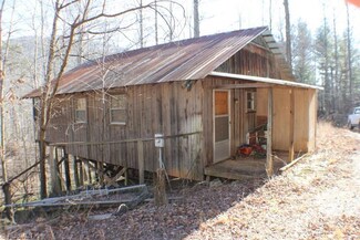1036 Lumber Plant Rd, Lowgap, NC 27024