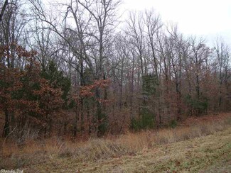 0 Hwy 58 Unit 10370616, Williford, AR 72482