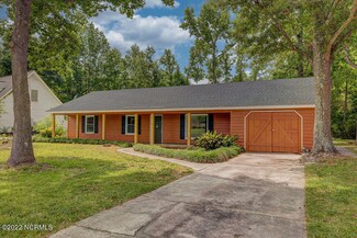 516 Old Mill Rd, Castle Hayne, NC 28429