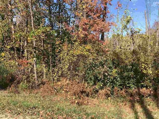 #21 Birchview Dr, Torch Lake Township, MI 49648
