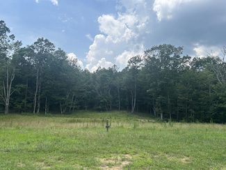 595 Compass Dr, Jasper, TN 37347