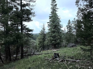 Lot 58 Big Dipper Rd Unit 58, Cloudcroft, NM 88317