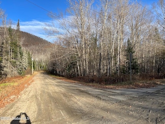 54 Lakeview Ln, Johnsburg, NY 12853