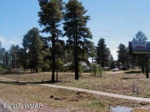 2182 E St, Overgaard, AZ 85933